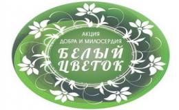 Акция «Белый цветок»
