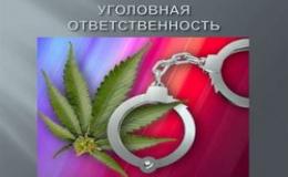 Уголовная ответственности за преступления, связанные с незаконным оборотом наркотиков
